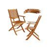 58841 drevena skladaci kresla 2 kusy