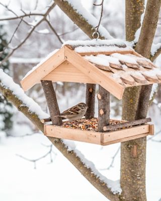 Pozovite život u svoj vrt! 🤎 Zimi ptice trebaju našu pomoć više nego ikad. Drvene hranilice i kućice pružaju im sigurno...