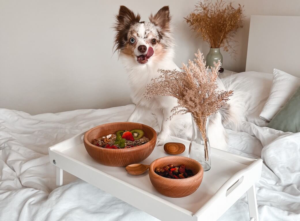 Reggeli az ágyban, kényelmesen