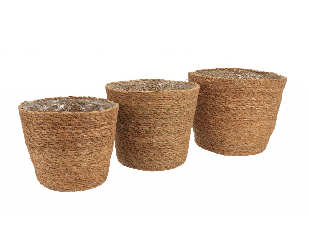 3 db-os tengerifűből készült dekoratív virágcserépcsomagolás