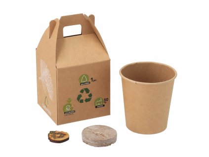 Borovifenyő termesztő készlet