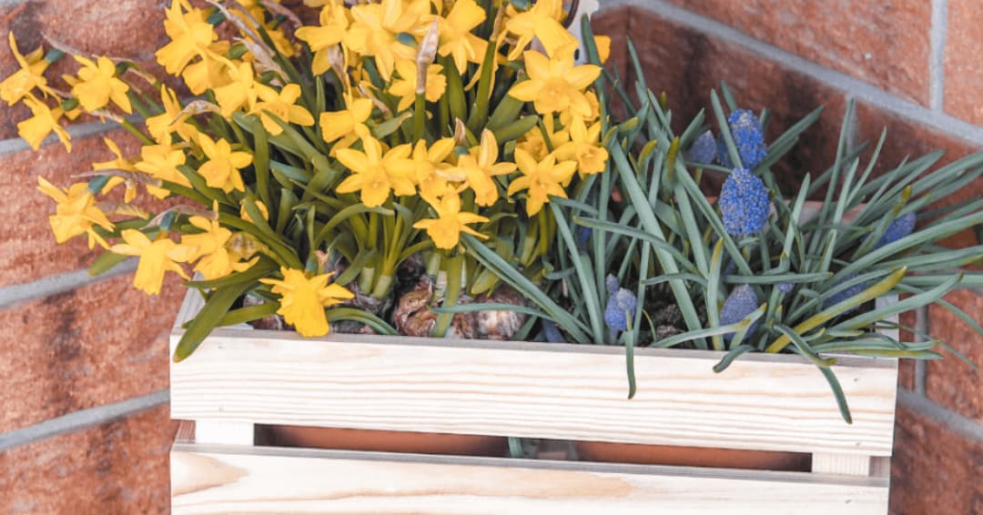 bloembak_in_lentesfeer