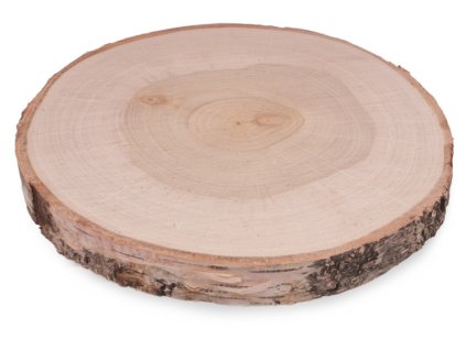 Houten schijf van berkenstam 24-28 cm