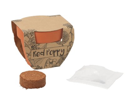 Kleine bloempot met klaprooszaadjes