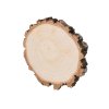 Houten schijf van berkenstam met schors 8-10 cm