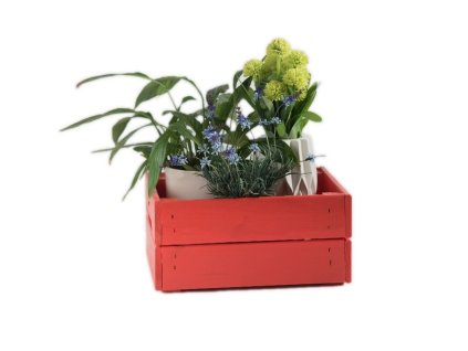 Lesen zaboj 31 x 23 x 15 cm - rdeč