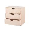 Lesen organizator III
