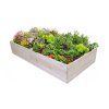 Lesena visoka greda 240 x 100 x 40 cm