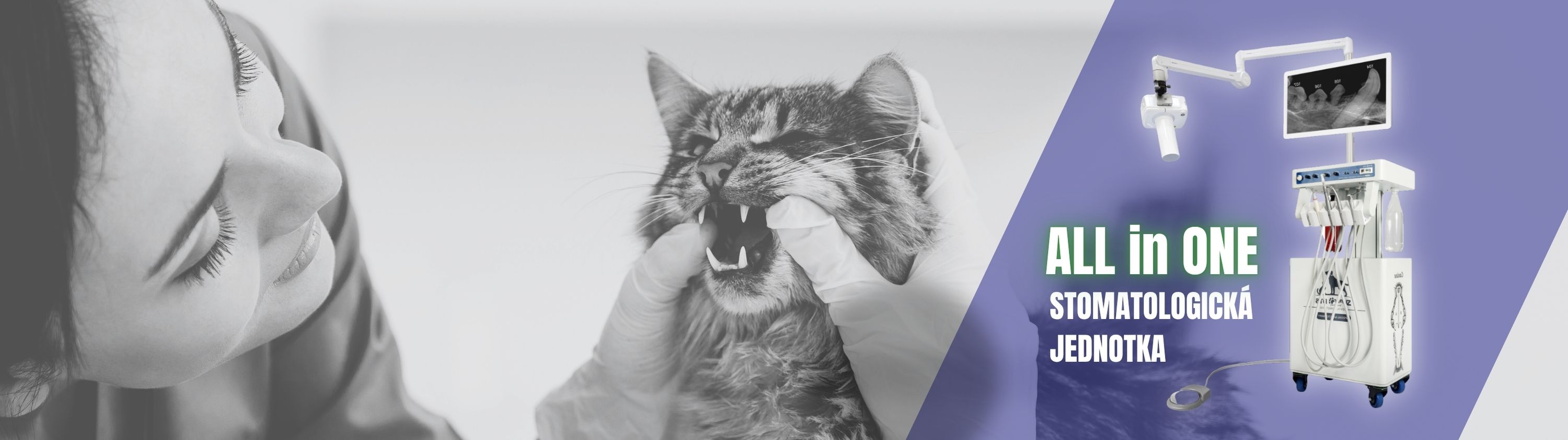 Super Veterinary