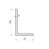 Winkelprofil 100x75x9_2