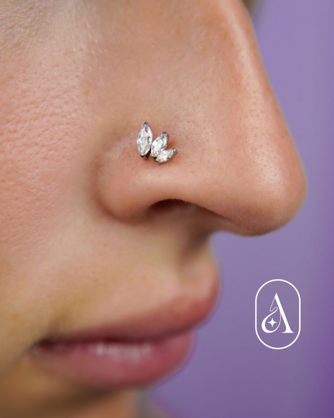 Chceš, aby aj malý detail tvojho piercingu zažiaril? 🤩⁠ ⁠ Titánová bezzávitová koncovka Jenny s tromi trblietavými...