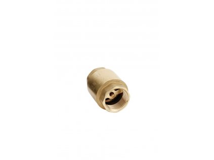 136995 check valve with brass spindle 2