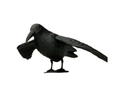 321033 iso 6555 havran 38cm