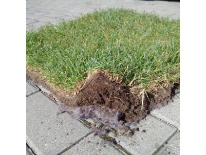 326693 grasstex travnikova zaplata 1 05x10m