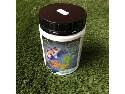 322521 2 home pond winter pond 500 g