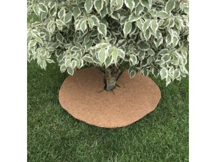 322833 2 ozy kokosovy kruh 37cm pod stromy 800g m