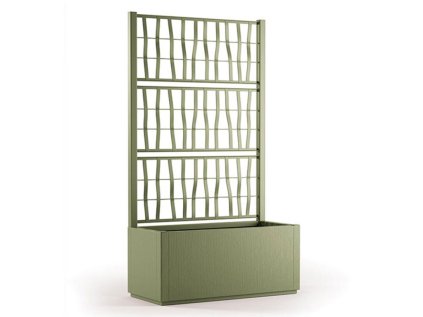 Truhlik olivove zeleny mrizka 1