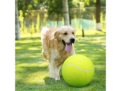 956934 maxi tenisak 4l 263