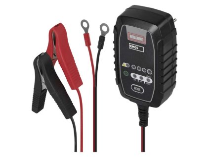 Car battery charger 6/12V 0,8A