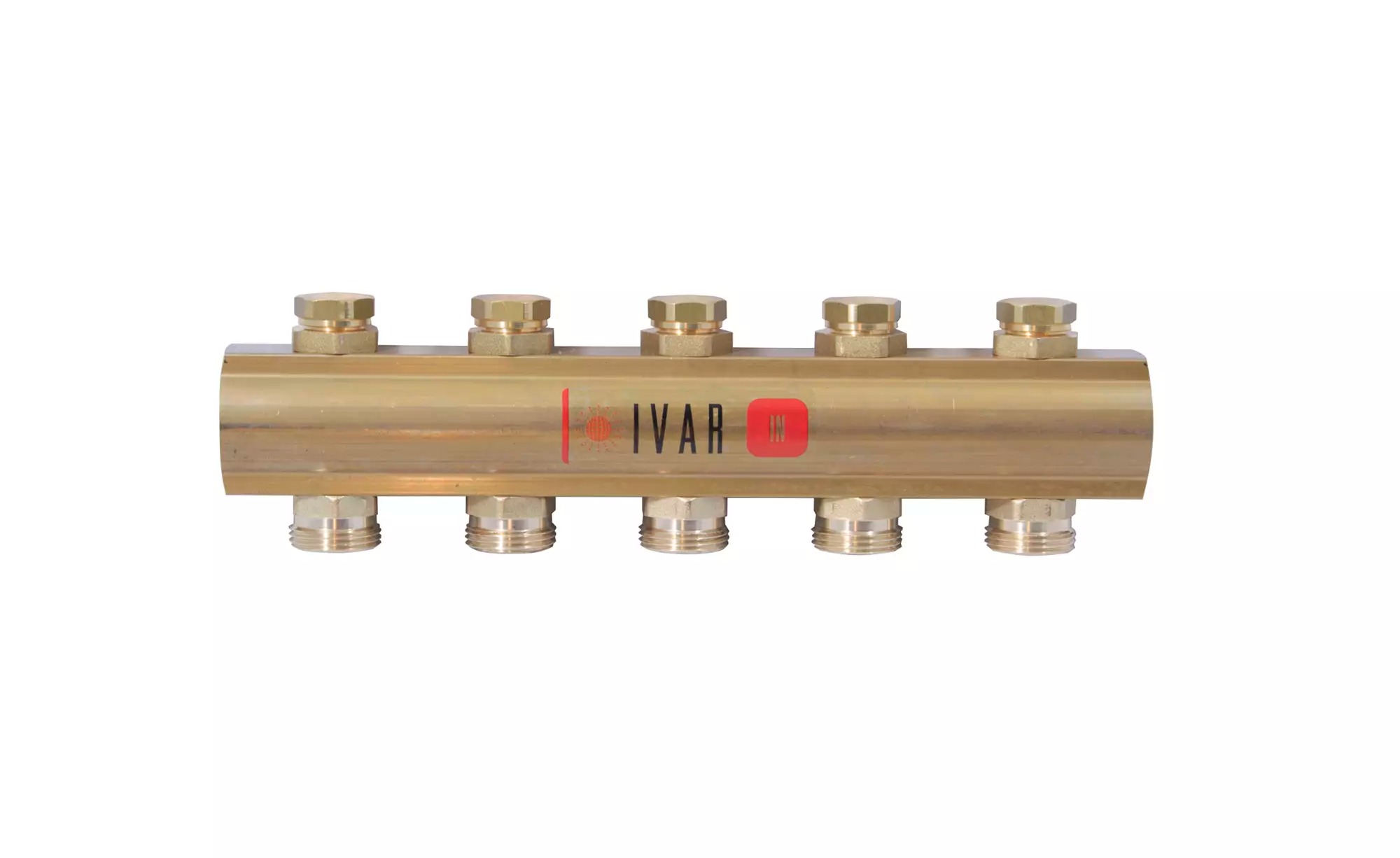 17250 image IVAR.CI 553 web
