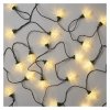 534254 17 led vianocna retaz sisky 9 8 m vonkajsia aj vnutorna tepla biela programy