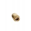 136986 check valve with brass spindle 1