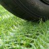 GrassRoll Extra Zatrávňovacia rohož 2×20 m do 7,5 t