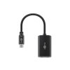 Adapter GOOBAY 51773 USB-C/DisplayPort 0,2m