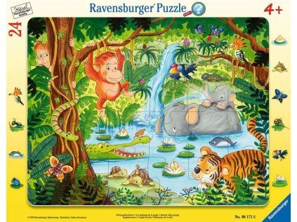 puzzle v dzungli 24 dilku 110774