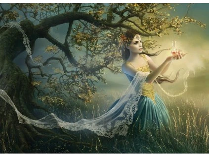 puzzle rapture 1000 dilku 106899