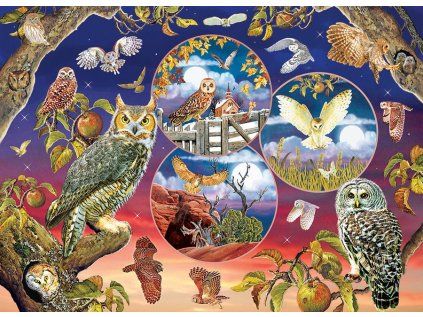puzzle kouzlo sovy 1000 dilku 106973
