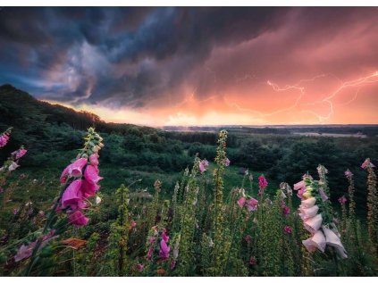 RAVENSBURGER Puzzle Síla přírody: Magická bouřka 1000 dílků