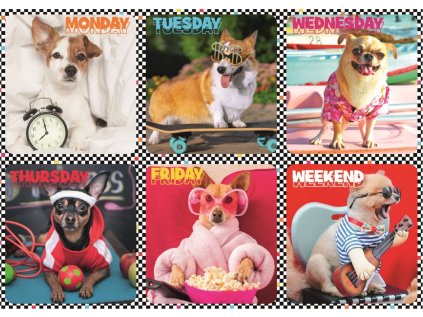 TREFL Puzzle Veselí pejsci 200 dílků