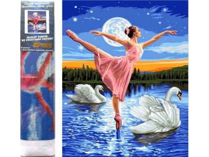 Norimpex Diamantové malování Baletka mezi labutěmi 30x40cm