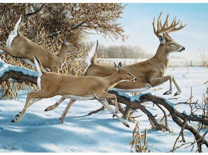 puzzle utek 1000 dilku 192738
