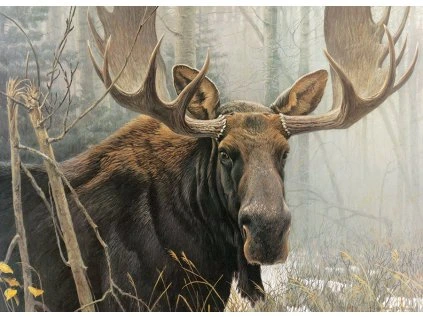 puzzle los 500 dilku 192885