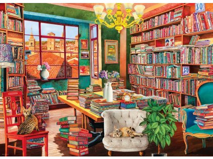 EUROGRAPHICS Puzzle Stará knihovna 1000 dílků