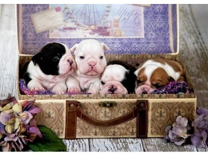 puzzle stenata 500 dilku 138302