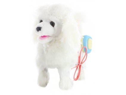 chodici pejsek 152298