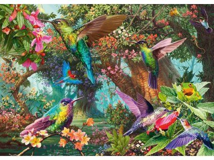 puzzle lednacci 1000 dilku 239570