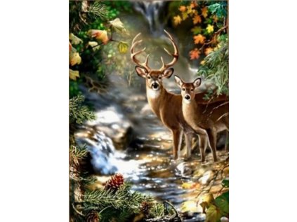 NORIMPEX Diamantové malování Jelen a srnka u lesního potoka 30x40cm