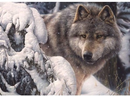 puzzle pan severu 1000 dilku 192495