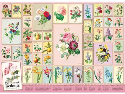puzzle pierre joseph redoute 1000 dilku 192540