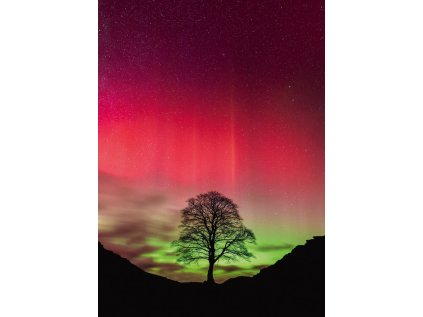 HEYE Puzzle Power of Nature: Sycamore Gap 1000 dílků