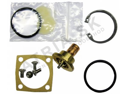 Náhradná termostatická vložka - pre ventily IVAR.TERMOVAR - 61 °C  IVAR.TERMOVAR-VL