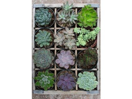 RAVENSBURGER Puzzle Moment: Zeleň 300 dílků