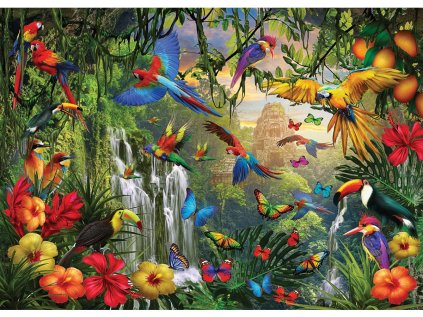 EUROGRAPHICS Puzzle Tropický ptačí ráj XL 500 dílků