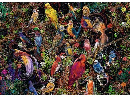 RAVENSBURGER Puzzle Ptáci v umění 1000 dílků