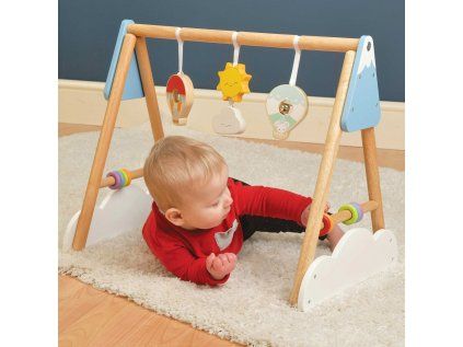 PL111 Baby Gym 4