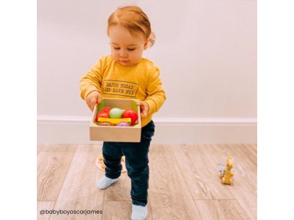 bj476 krabicka s ovocem 5